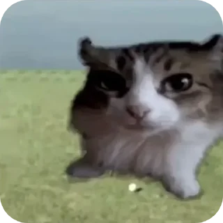 Стикер @stiki_tg_nah_canal - 7