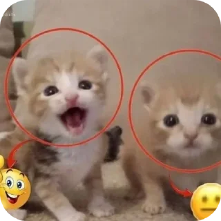 Стикер @stiki_tg_nah_canal - 1