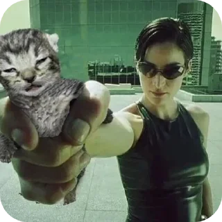 Стикер @stiki_tg_nah_canal - 5