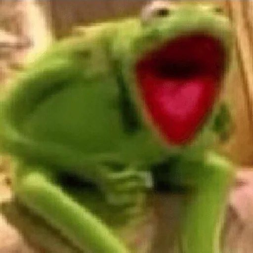 лягушка животное амфибия