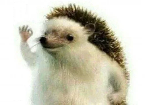 Sticker iVaadkGTqzLRn_by_stickers_stealer_bot - 1