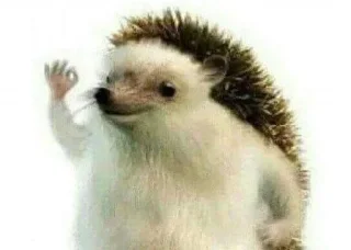 Sticker Больше стикеров 👉🏻 @stickertg4 - 4