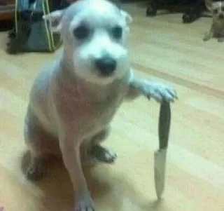 Sticker Больше стикеров 👉🏻 @stickertg4 - 7