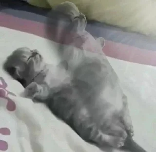 Sticker Больше стикеров 👉🏻 @stickertg4 - 1