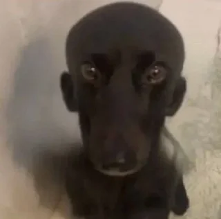 Sticker Больше стикеров 👉🏻 @stickertg4 - 6