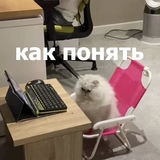 Sticker iXbKCvczLKcsSvW_by_stickers_stealer_bot - 1