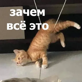 Sticker Больше стикеров 👉🏻 @stickertg4 - 1