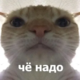 Sticker Больше стикеров 👉🏻 @stickertg4 - 6