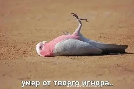 @Tarantasz_Tz @WmojiBot - 