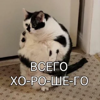 Sticker Больше стиков тут: @stikery4 - 3