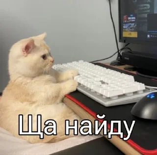 Sticker Больше стиков тут: @stikery4 - 1