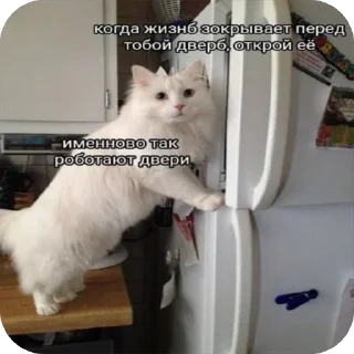 Sticker 47А @Femoji - 11