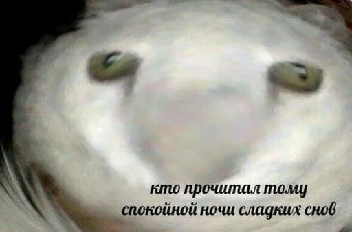 животное млекопитающее