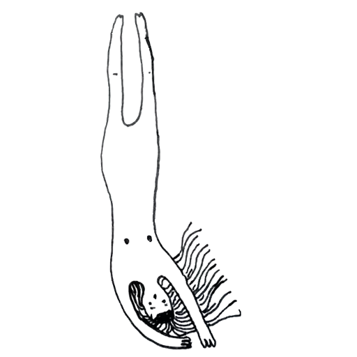 sketch drawing child art