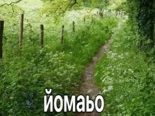 Стикер Больше стиков тут: @gostikers - 0