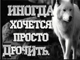 Стикер Больше стиков тут: @gostikers - 11