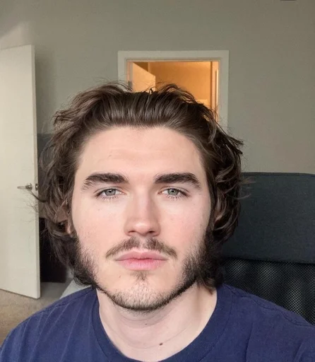 человеческое лицо Человек комнатный