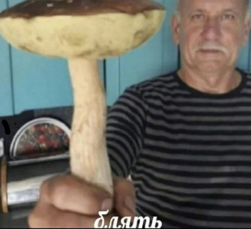 Человек гриб съедобный гриб