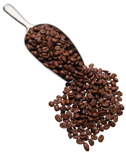 bean jamaican blue mountain coffee coffee