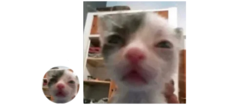 Sticker iandneruh - 1