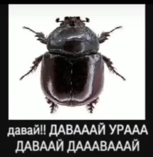 Sticker nothing чат головного мозга - 5