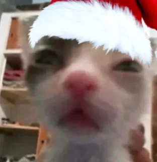 Sticker nothing чат головного мозга - 3