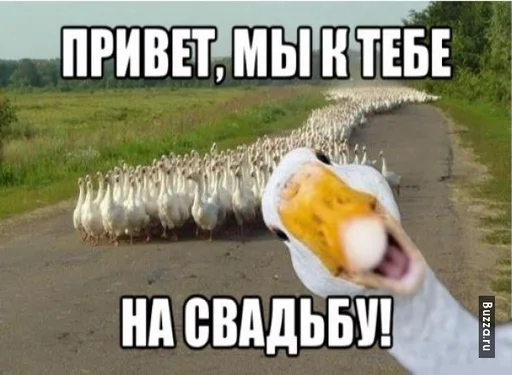 Sticker пьяндемия - 10