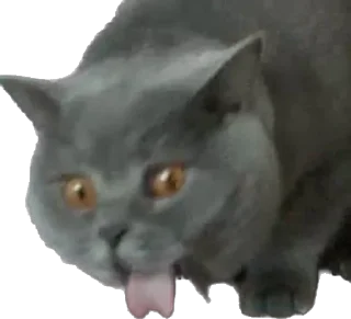 Стикер ИБустчане - 3