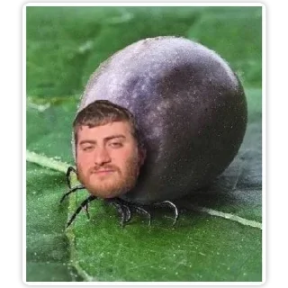 Стикер ИБустчане - 1