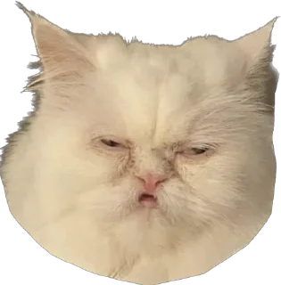 Стикер ИБустчане - 5