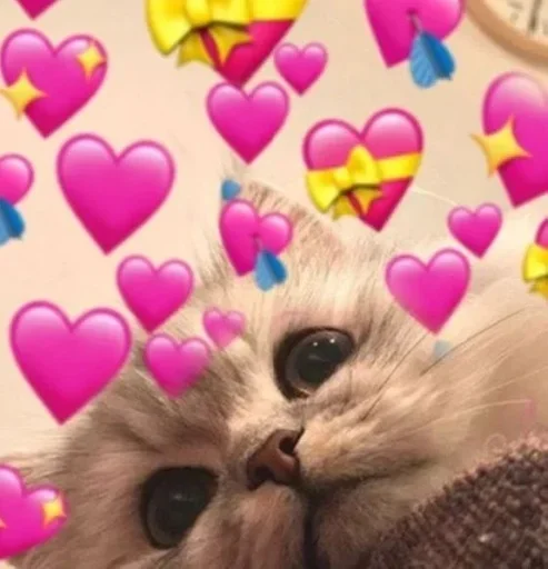 💕 Стики тут: @Stickersloving - 