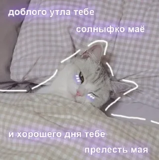 Sticker 💕 Стики тут: @Stickersloving - 11