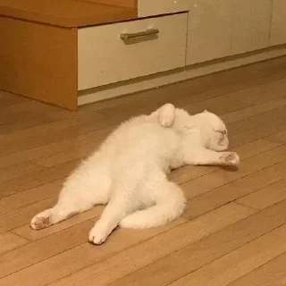 Sticker 💕 Стики тут: @Stickersloving - 6