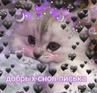 Sticker 💕 Стики тут: @Stickersloving - 9