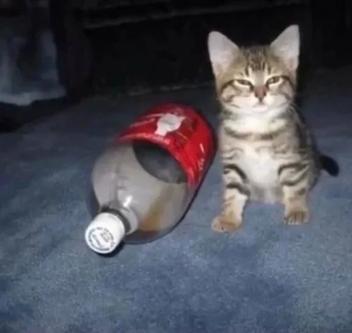 Sticker мяу @rjakasticks - 5