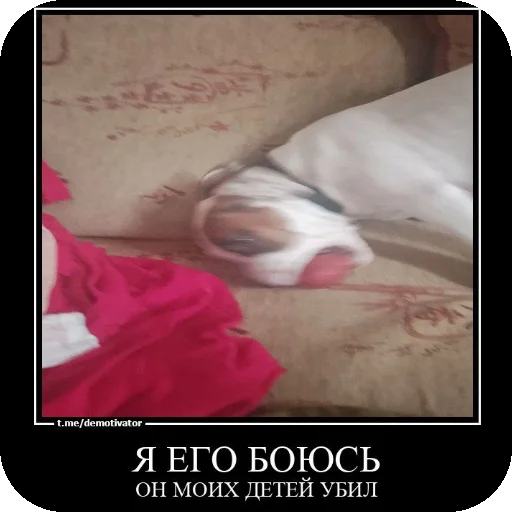 Стикер icho924 - 1