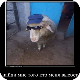 Стикер курпишалит @lyantorchat - 6