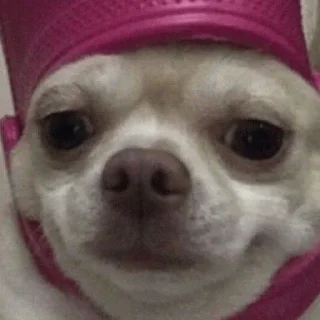 Sticker made by @ddsgif - 8