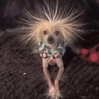 Sticker made by @ddsgif - 4