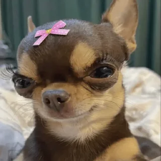 Sticker made by @ddsgif - 11