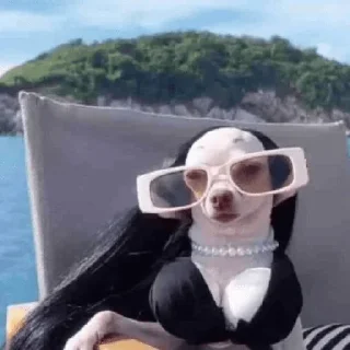 Sticker made by @ddsgif - 6