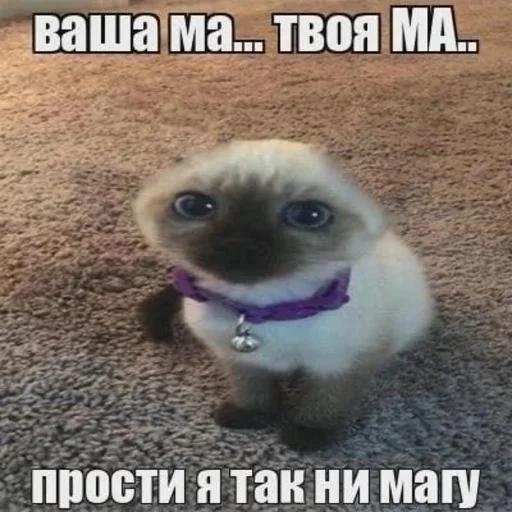 Стикер iconmushroom - 1