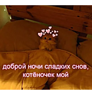 Sticker стики>> @viku1ka🫂💓 - 3