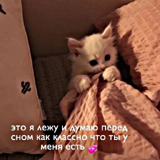 Sticker стики>> @viku1ka🫂💓 - 0