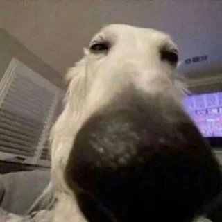 Sticker @emojis4 - 11