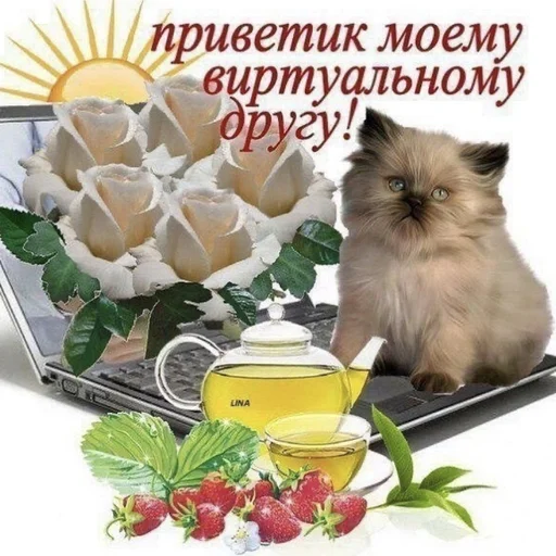 фрукт млекопитающее животное