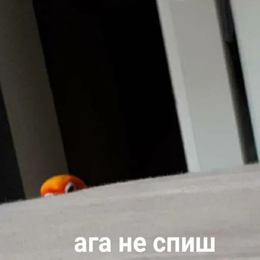 screenshot indoor orange