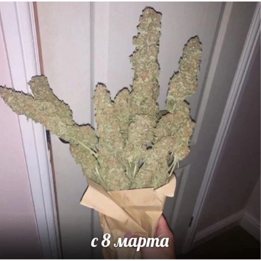 Sticker ididifdj - 1