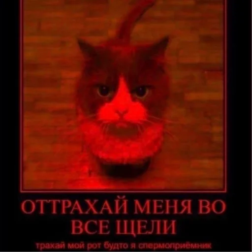 Sticker ididifdj - 1