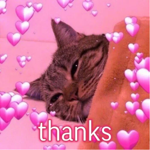 small to medium-sized cats felidae purple